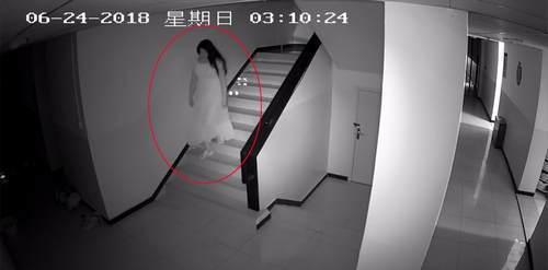 图片均为嫌疑人苏某，海淀警方供图