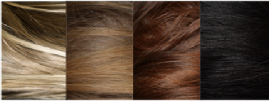 图为用于全基因组关联分析的头发颜色分类 中科院供图