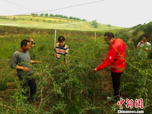 资料图:基层干部调研。 周沛龙 摄 资料图:基层干部调研。 周沛龙 摄