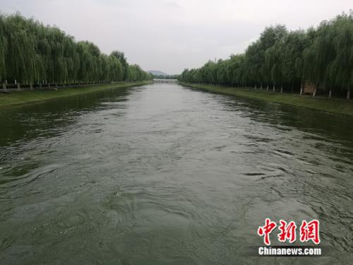 南水进京的路线末端,有一段约800米的明渠,在这里可以看到奔流的江水源源不断涌入。 中新网 张尼 摄