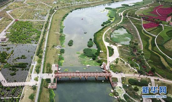 这是广西南宁市那考河湿地公园风光(4月7日无人机拍摄)。 新华社记者 周华 摄