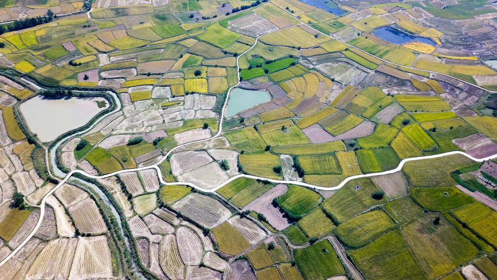 安徽省滁州市凤阳小岗村的野外情景(2018年9月27日摄,无人机照片)。新华社记者 张端 摄