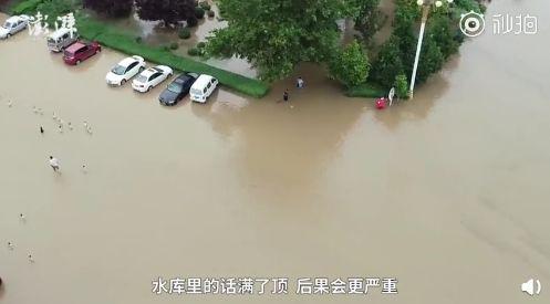 图片来源:澎湃新闻视频截图