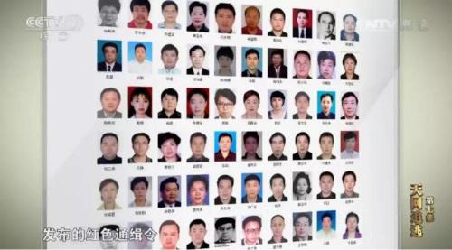 红色通缉令(来源:央视截图)