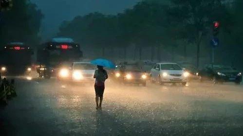 那些在暴雨中奔忙的人最值得敬重