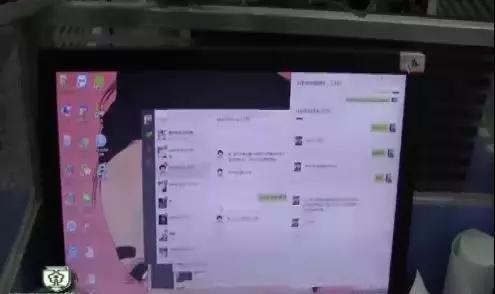 德赢app下载 - 两只猫咪被遗弃在公园里 好心人带着它们来了一场旅行