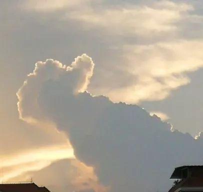 高调承包热搜 你想看的“云”和“维纳斯”来了