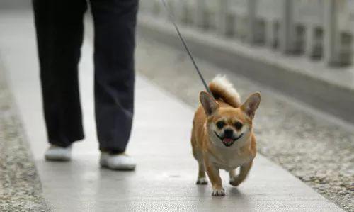 老师办公室狂肉校花H寝室视频