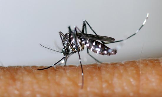  ����������ͼ