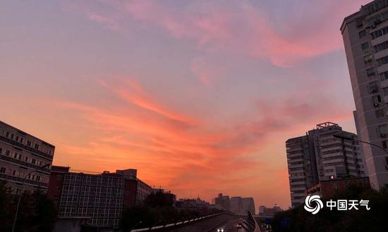 公务员可以去澳门赌场吗_每天1万多人患上癌症,除了生活不健康,这个原因你忽视了么?