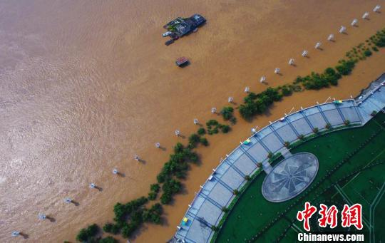 6月11日,航拍贛江南昌段水位暴漲,沿江景觀樹受淹在渾濁的江水之中。 劉佔昆 攝 6月11日,航拍贛江南昌段水位暴漲,沿江景觀樹受淹在渾濁的江水之中。 劉佔昆 攝