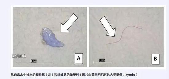 图片来源：《日本经济新闻》中文网截图