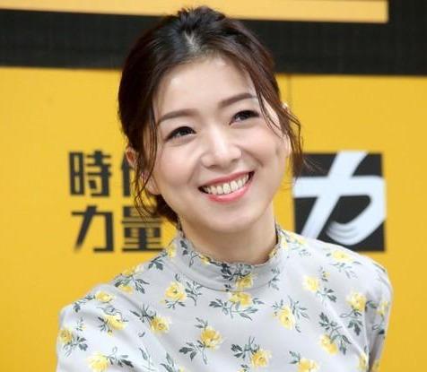 风雨飘摇之际 这个“台独”政党迎来新一任党主席
