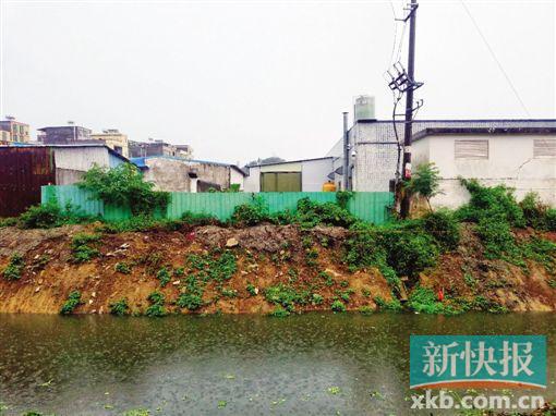 位于惠州小金口的泰亿塑料厂,就建在河涌旁,与居民区一河之隔,常遭居民投诉。