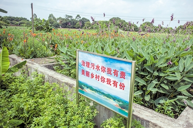 记者到花都区和从化区采访河长和乡村污水治理。图为杨三村生活污水改造处。广报全媒体记者杨耀烨摄(资料图片)