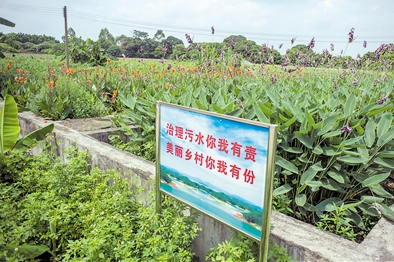 记者到花都区和从化区采访河长和乡村污水治理。图为杨三村生活污水改造处。广报全媒体记者杨耀烨摄（资料图片）