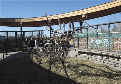 大兴生态文明教育公园内的麋鹿雕塑是用拆迁剩下的钢筋制作而成。