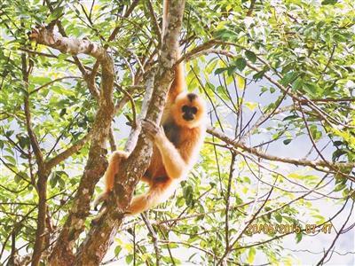 数量比14年前翻一番