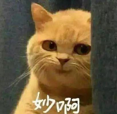 ̳