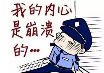 奇葩警情