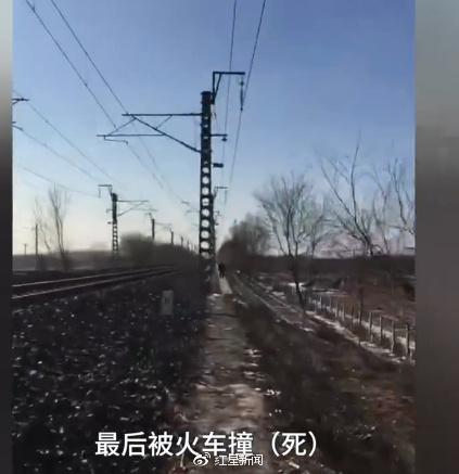 据梨视频截图