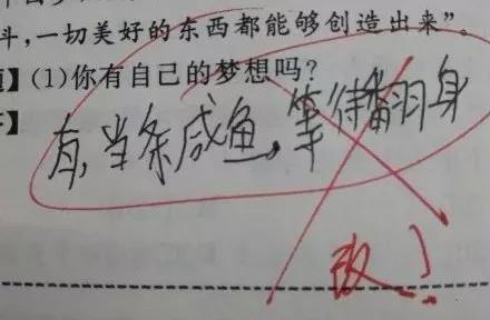 寒假里的我