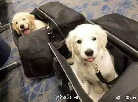 图片来自网络
