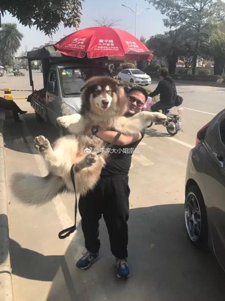 阿貓阿狗其實都是小意思