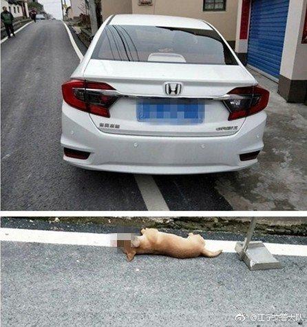 警方供图