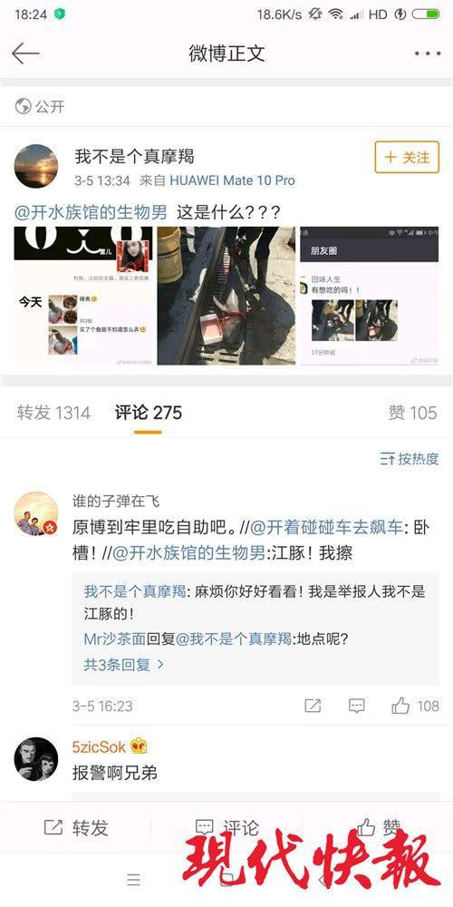 网友“@我不是个真摩羯”曝光有人疑似当街宰杀江豚 微博截图