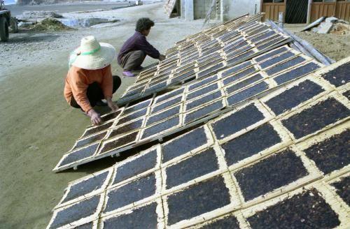进行干燥工作的渔民（图：Today Korea）
