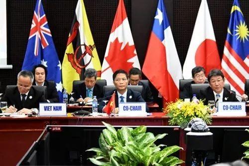 11月10日，越南代表团出席TPP部长级会议（来源：网络）