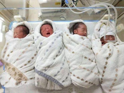 新浪综合:女子产下龙凤四胞胎 平均每人仅重3斤(图)
