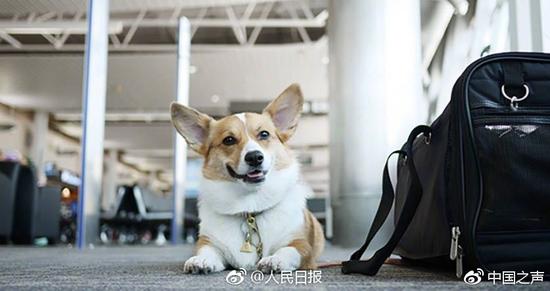 图片来自网络