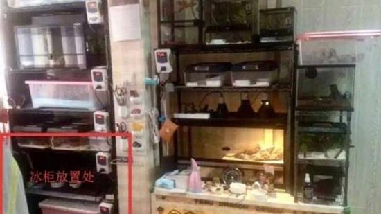 網絡資料圖