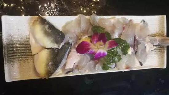 小伙伴们家里的河豚,是哪里买来的,再说河豚不是有毒吗,咱能放心吗?