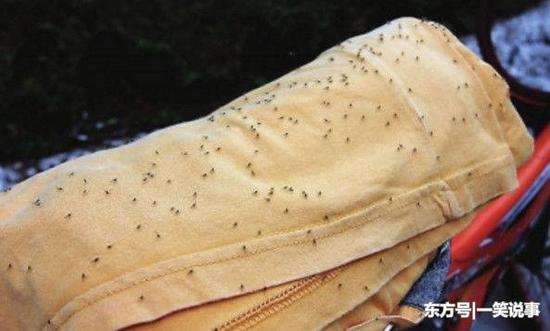 (图片来自网络)