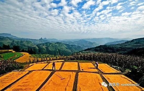 新华社发文首提习近平全面深化改革重要思想