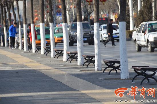华商报:陕西榆林300米街道安54个椅子 官方:净化环境(图)