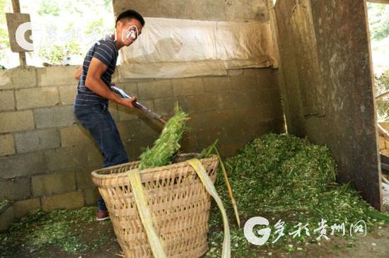 混合饲料