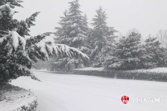 今年2月，河南降下鹅毛大雪。杜晓民 摄