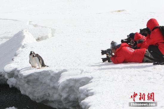 资料图：游客在南极探险旅行刘延珉 摄 图片来源：CFP视觉中国