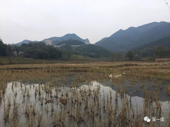 文星镇乡村景象