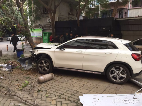 女子开奔驰送娃上学撞死买早餐老人 树被撞歪