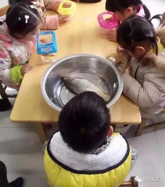 (以上简短回想)