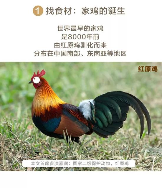 图片 4