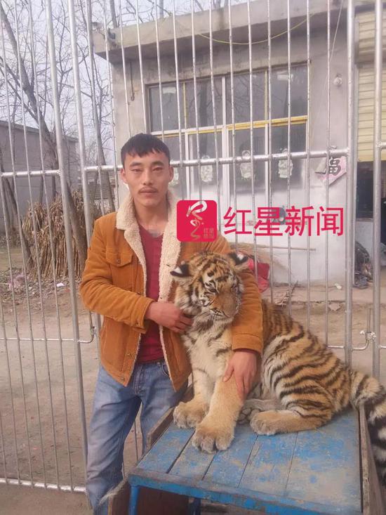 ▲李荣庆之前和被驯化的小老虎在一起   受访者供图