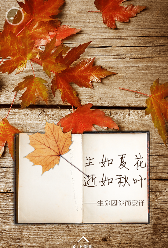 生如夏花逝如秋叶生命因你而安详
