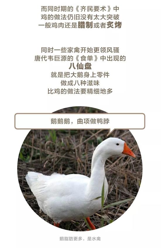 图片 42