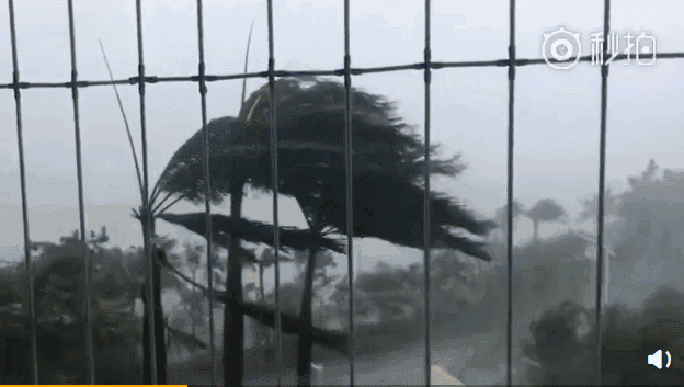 台风来袭港珠澳大桥顶住16级风 感谢逆风而行的人